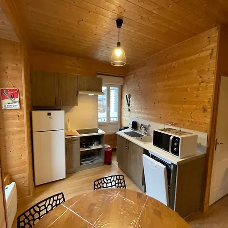 Appartement Appt Lumineux Centre Du Dore Vue Sancy *