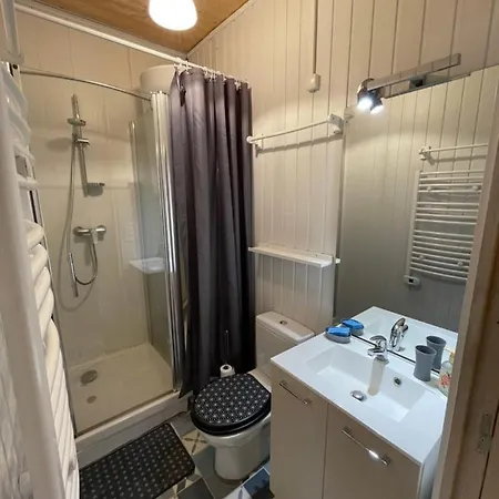 Appt Lumineux Centre Du Dore Vue Sancy *