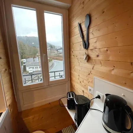 Appt Lumineux Centre Du Dore Vue Sancy Appartement *