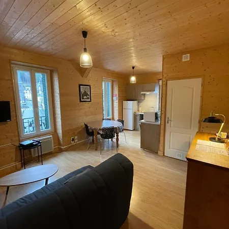 Appt Lumineux Centre Du Dore Vue Sancy *