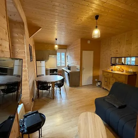 Appt Lumineux Centre Du Dore Vue Sancy Apartamento *