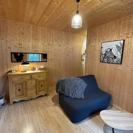 Appt Lumineux Centre Du Dore Vue Sancy Le Mont-Dore