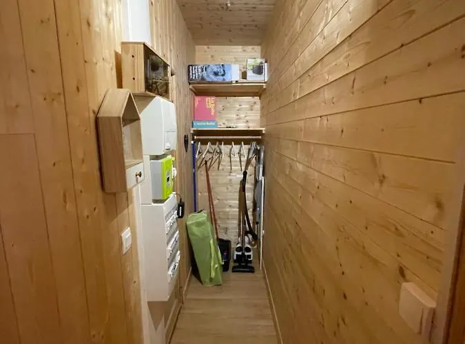 Appartement Appt Lumineux Centre Du Dore Vue Sancy *