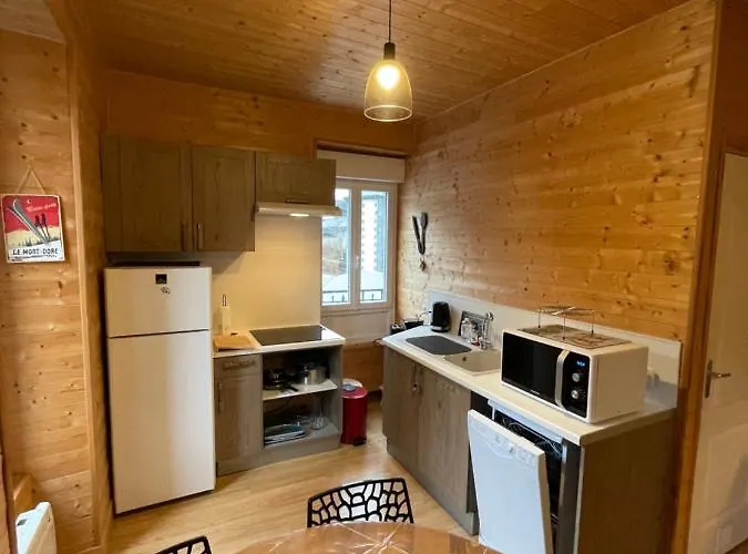 Appartement Appt Lumineux Centre Du Dore Vue Sancy *