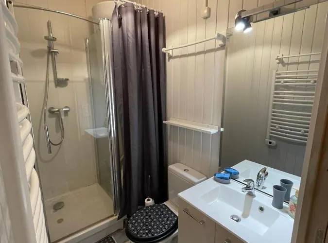 Appt Lumineux Centre Du Dore Vue Sancy *