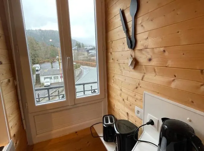 Appt Lumineux Centre Du Dore Vue Sancy Appartement *