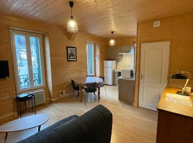 Appt Lumineux Centre Du Dore Vue Sancy *