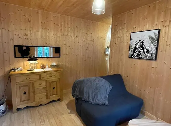 Appt Lumineux Centre Du Dore Vue Sancy Le Mont-Dore